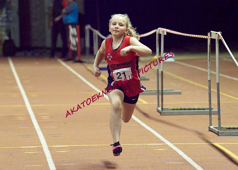 20221126AN INDOOR NOV0215A.JPG