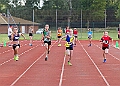 20260628 FUNETICSJUKL00204A