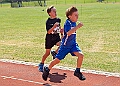 20260628 FUNETICSJUKL00311A