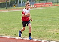 20260628 FUNETICSJUKL00494A