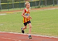 20260628 FUNETICSJUKL00524A
