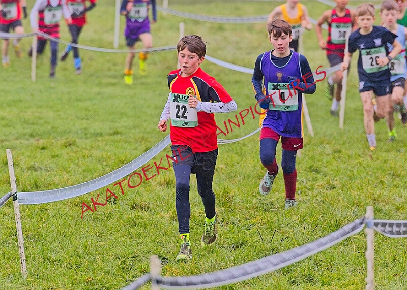 20260207 LONC XC00008A.JPG