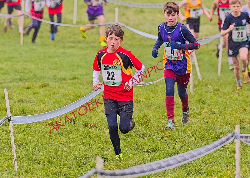 20260207 LONC XC00009A.JPG