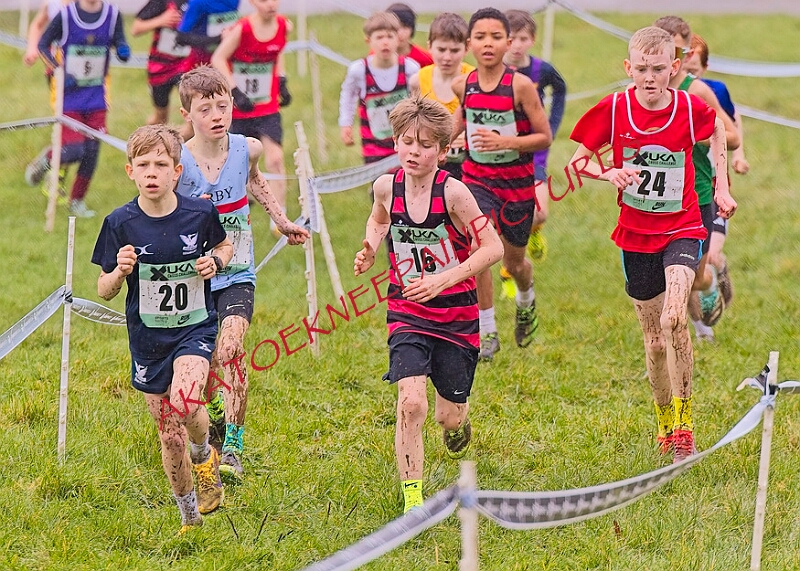 20260207 LONC XC00012A.JPG