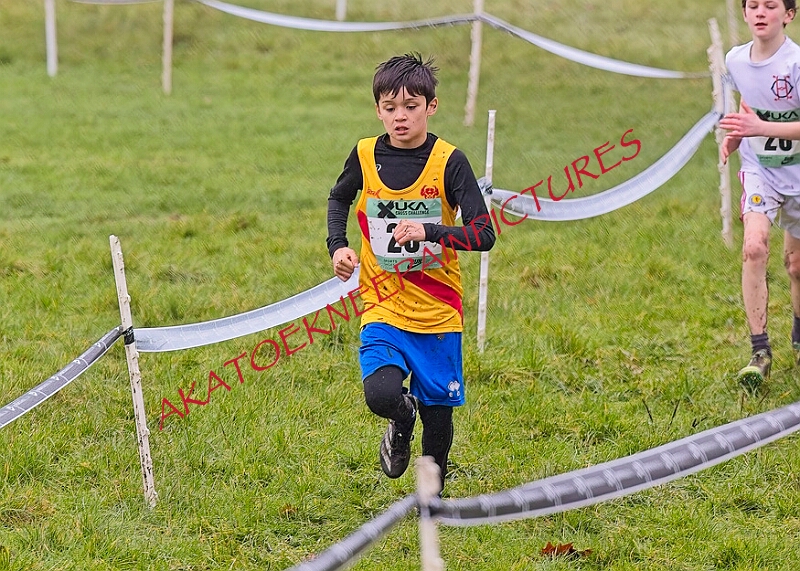 20260207 LONC XC00022A.JPG