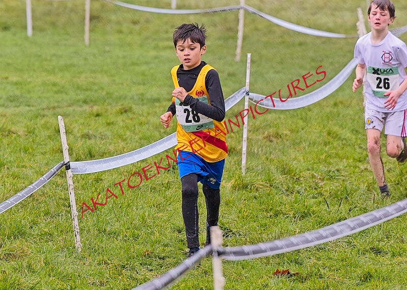 20260207 LONC XC00023A.JPG