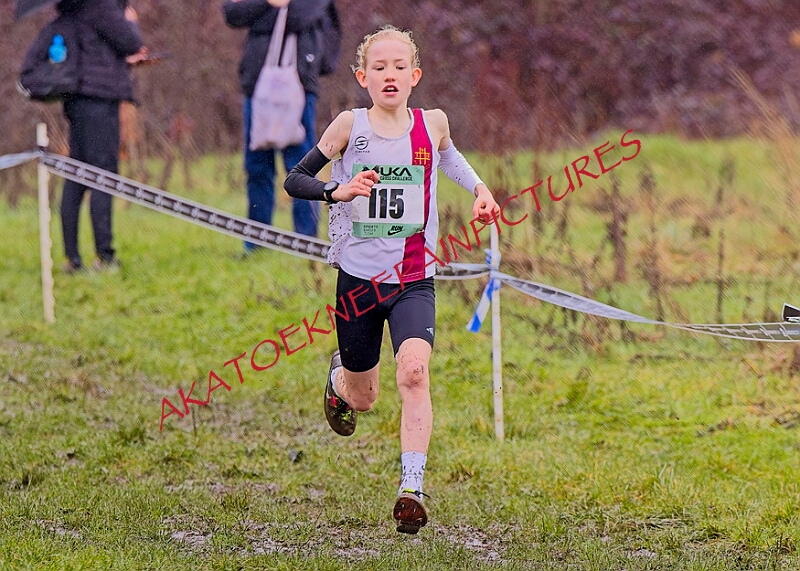 20260207 LONC XC00035A.JPG