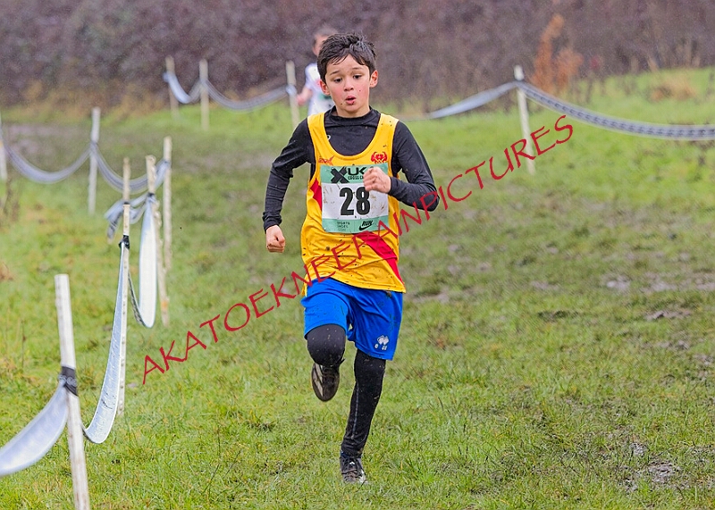 20260207 LONC XC00080A.JPG