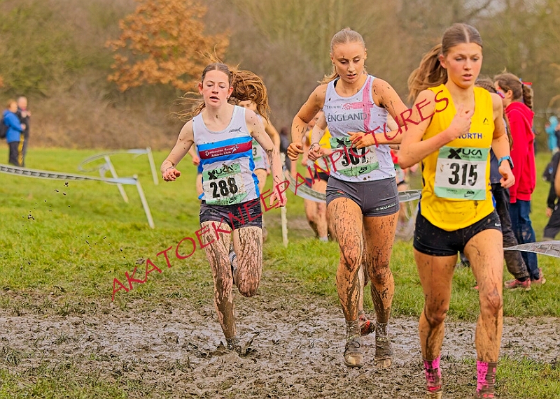 20260207 LONC XC00948A.JPG