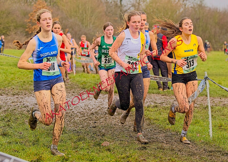 20260207 LONC XC00951A.JPG