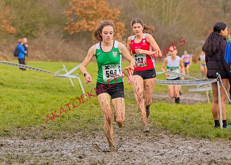 20260207 LONC XC00977A.JPG