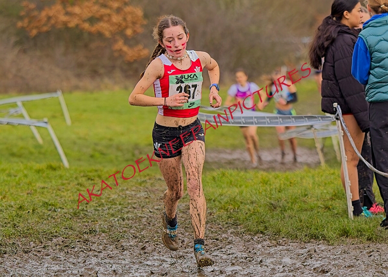 20260207 LONC XC00981A.JPG