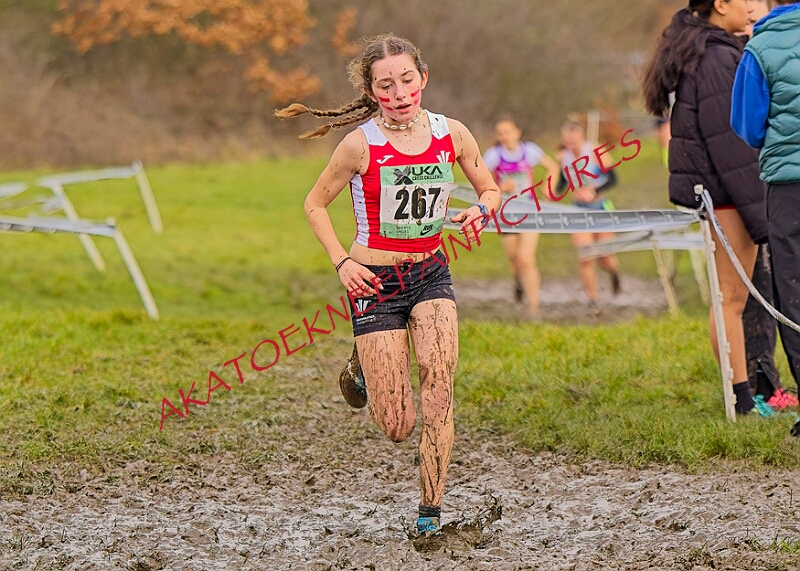 20260207 LONC XC00982A.JPG