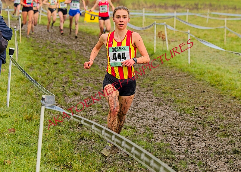 20260207 LONC XC01236A.JPG