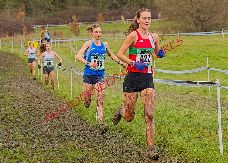 20260207 LONC XC01293A.JPG