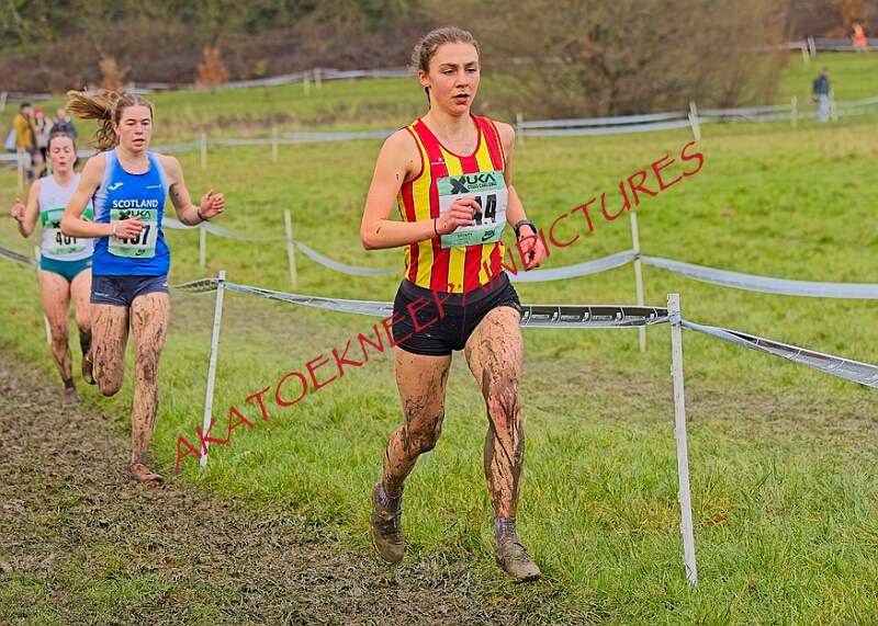 20260207 LONC XC01310A.JPG