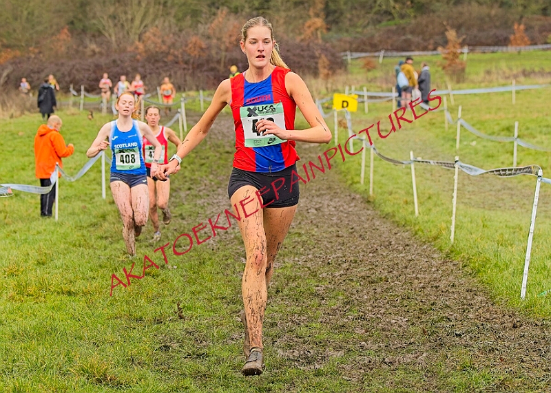 20260207 LONC XC01328A.JPG