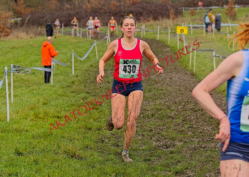 20260207 LONC XC01333A.JPG