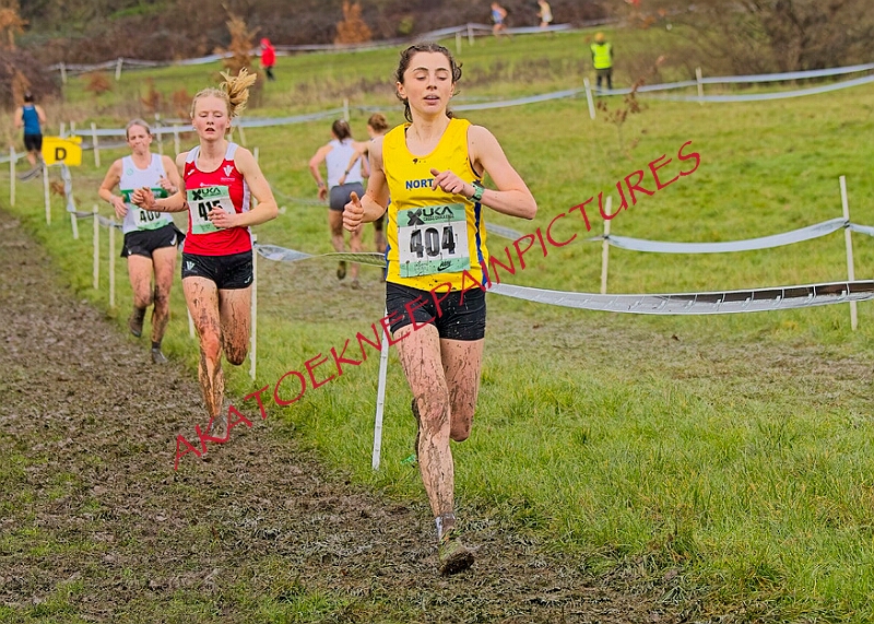 20260207 LONC XC01364A.JPG