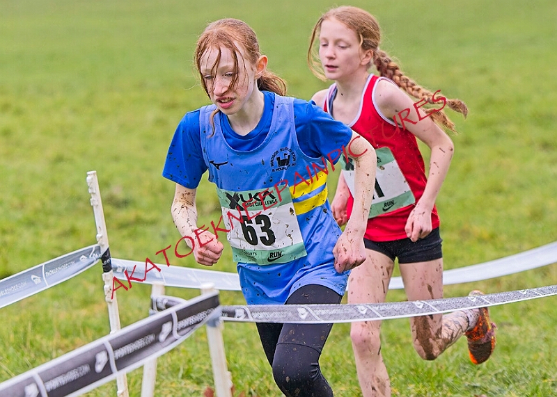 20260207 LONC XC00108A.JPG