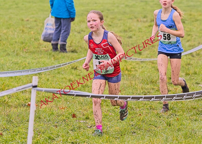 20260207 LONC XC00110A.JPG