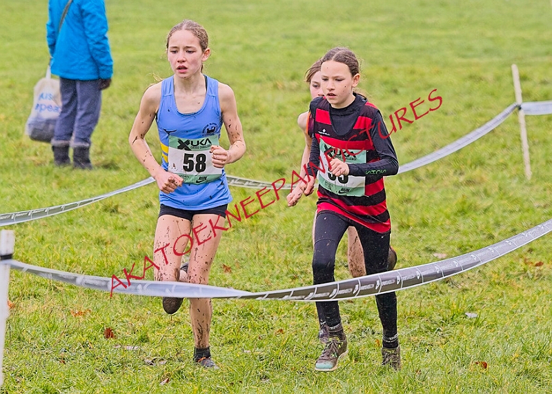 20260207 LONC XC00112A.JPG