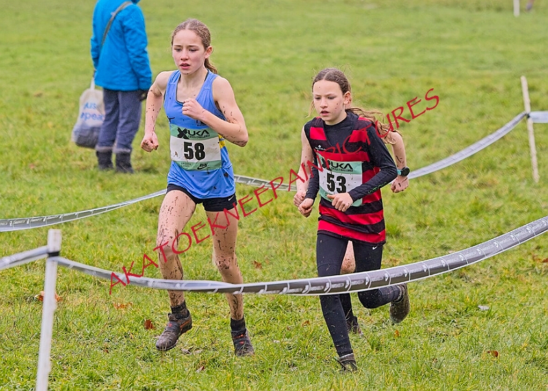 20260207 LONC XC00113A.JPG