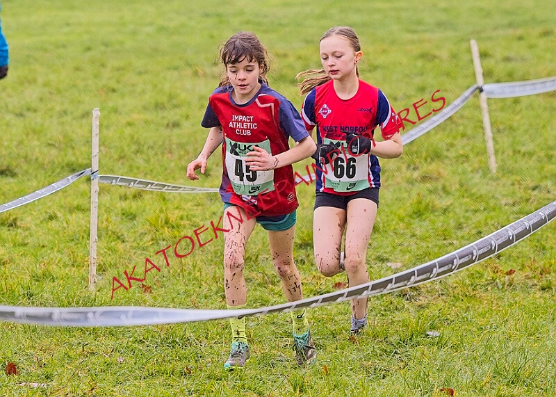 20260207 LONC XC00125A.JPG