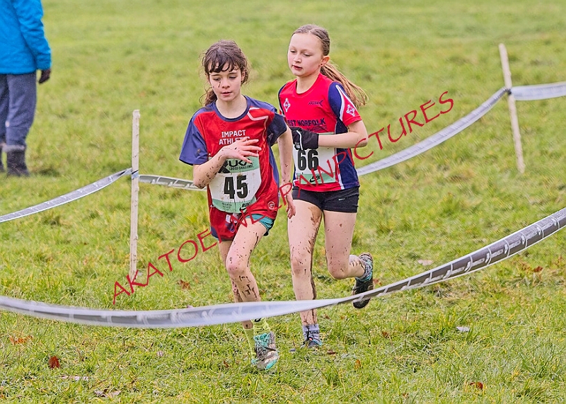 20260207 LONC XC00127A.JPG