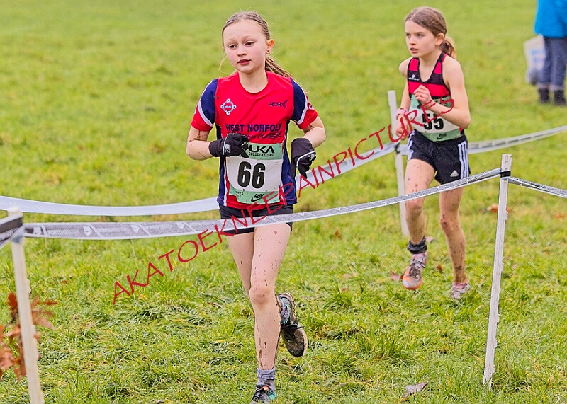 20260207 LONC XC00130A.JPG