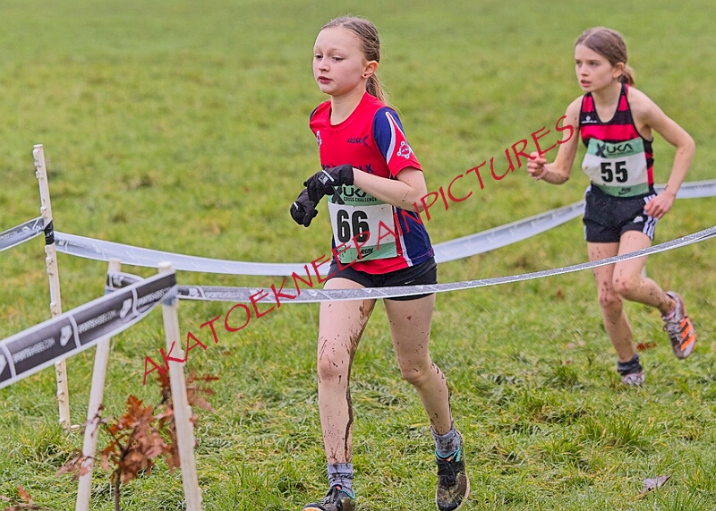 20260207 LONC XC00132A.JPG