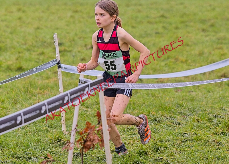 20260207 LONC XC00134A.JPG