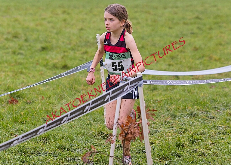 20260207 LONC XC00136A.JPG