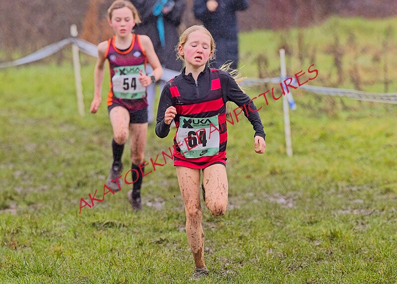 20260207 LONC XC00168A.JPG