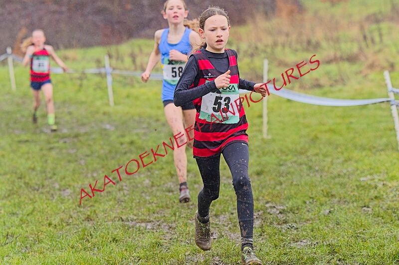 20260207 LONC XC00180A.JPG