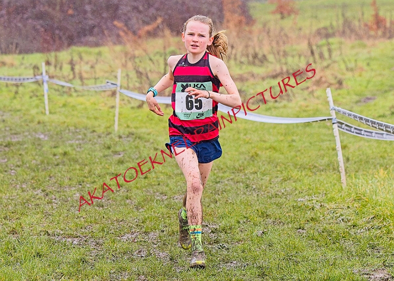 20260207 LONC XC00181A.JPG