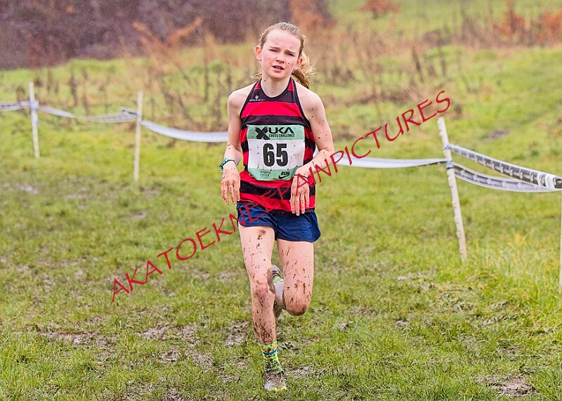 20260207 LONC XC00182A.JPG