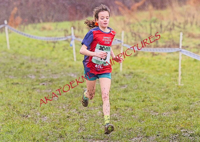 20260207 LONC XC00198A.JPG