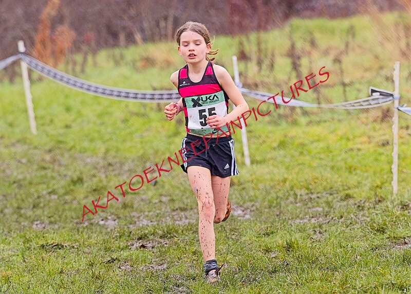 20260207 LONC XC00202A.JPG