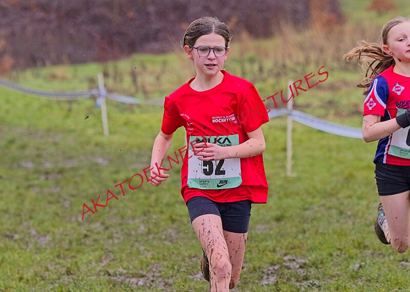 20260207 LONC XC00206A.JPG