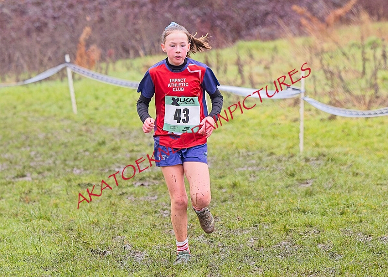 20260207 LONC XC00212A.JPG