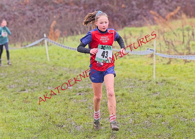 20260207 LONC XC00213A.JPG