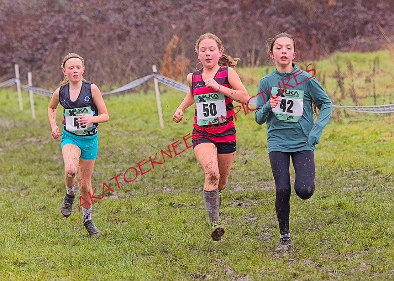 20260207 LONC XC00214A.JPG