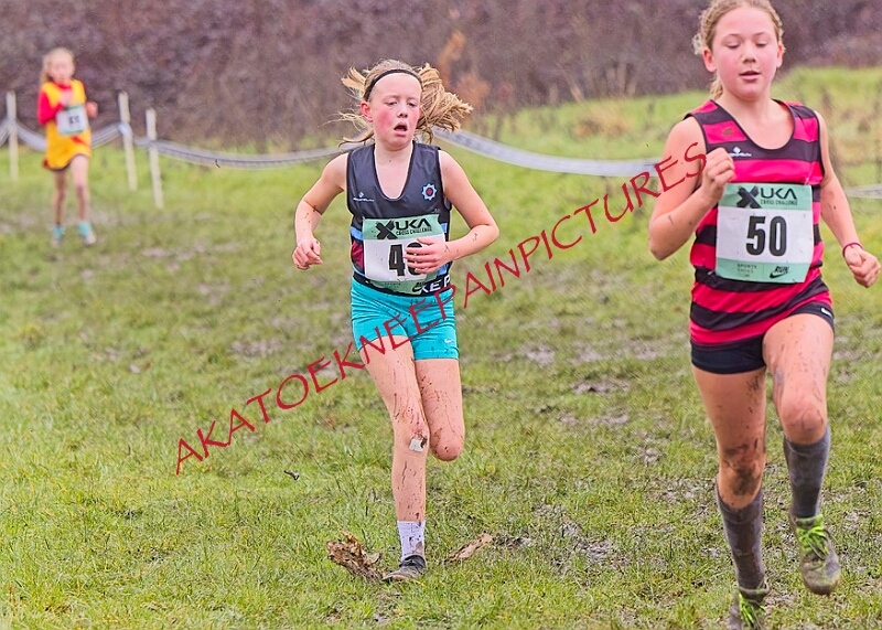 20260207 LONC XC00217A.JPG