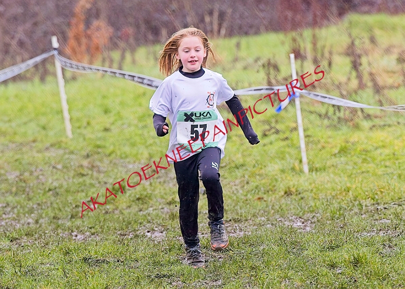 20260207 LONC XC00224A.JPG