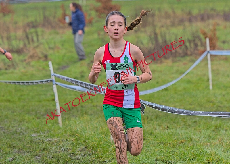 20260207 LONC XC00245A.JPG