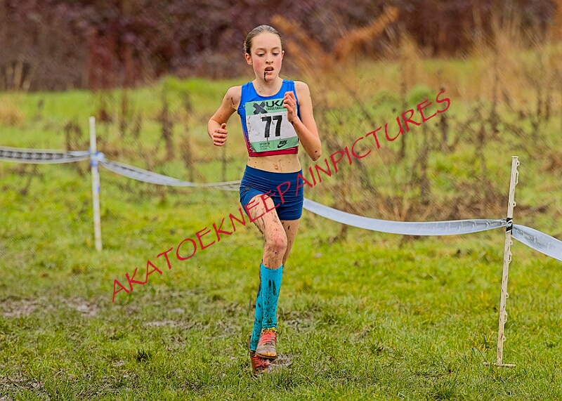 20260207 LONC XC00289A.JPG