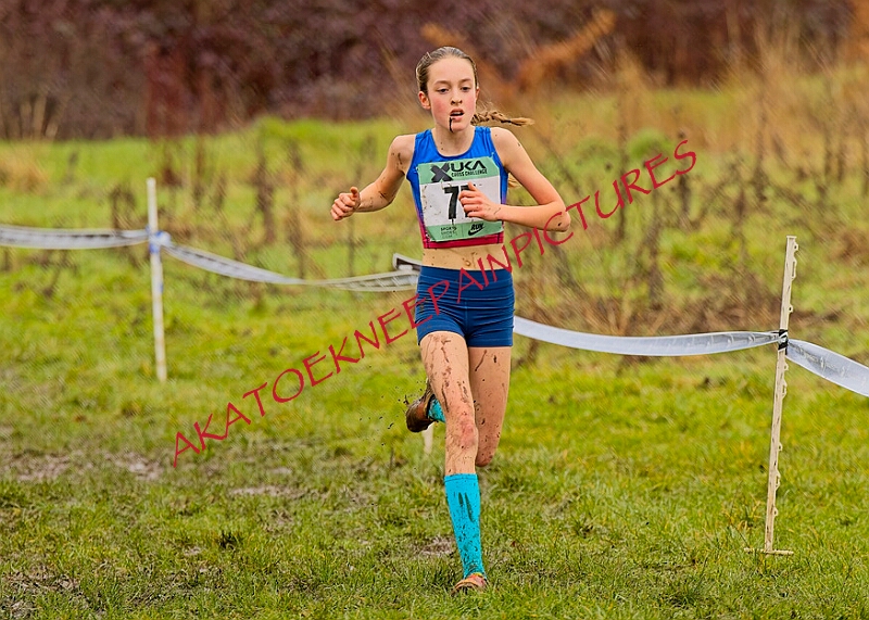 20260207 LONC XC00290A.JPG