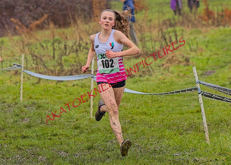 20260207 LONC XC00300A.JPG