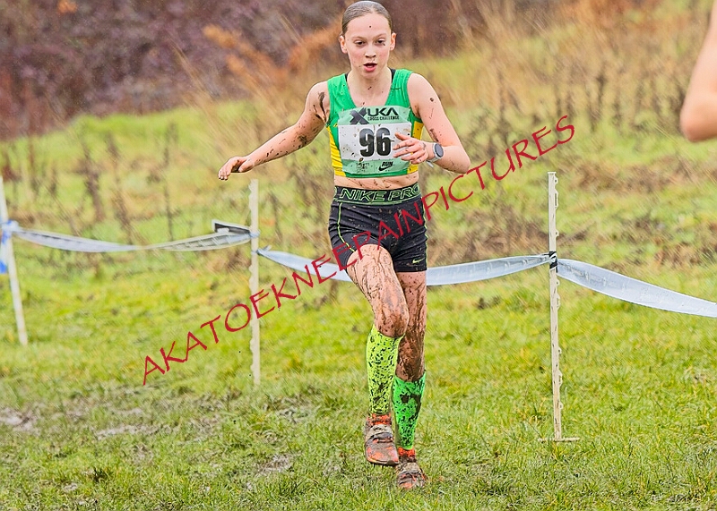 20260207 LONC XC00319A.JPG